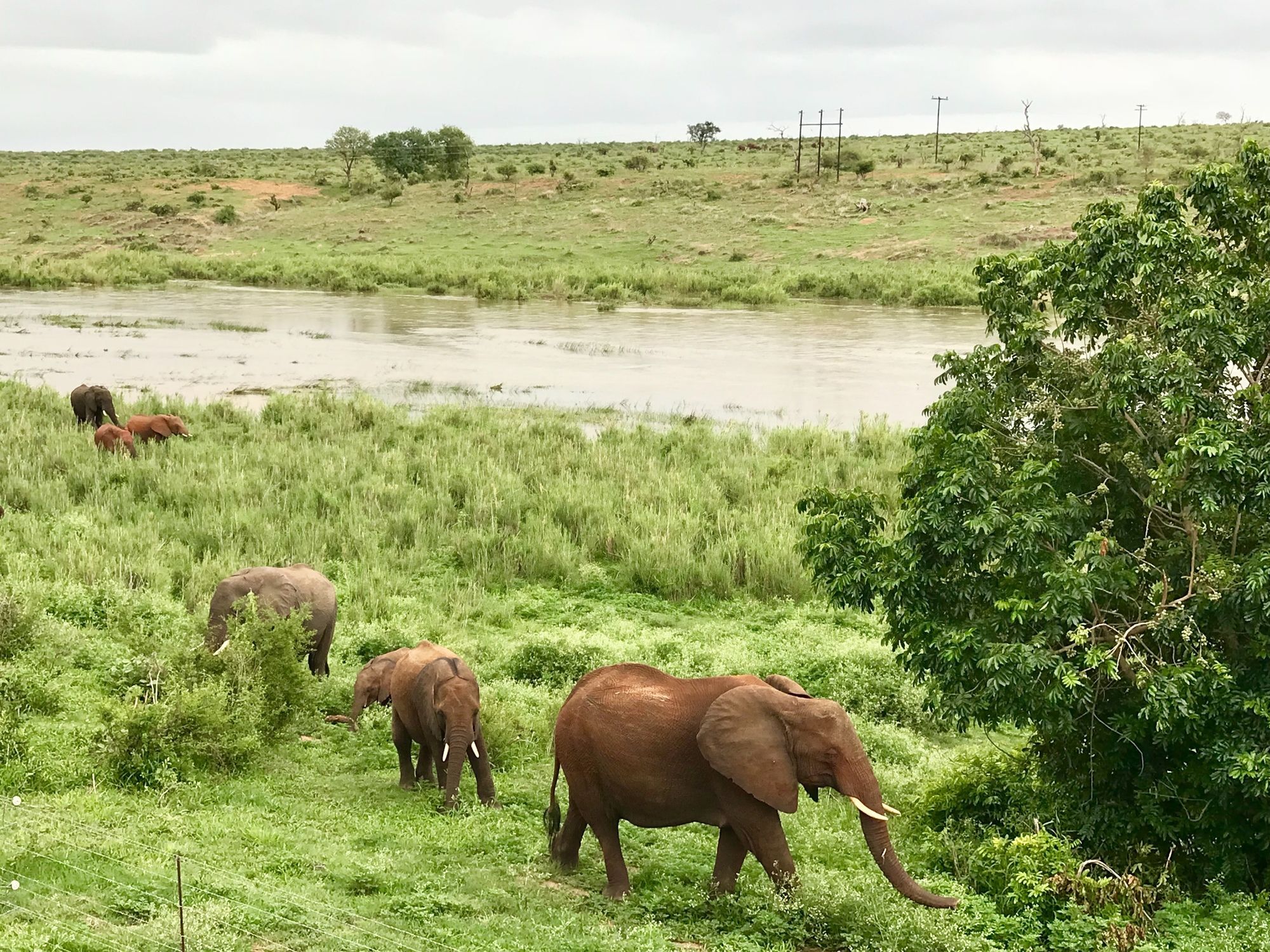 Elephant Walk Retreat コマティプルト エクステリア 写真