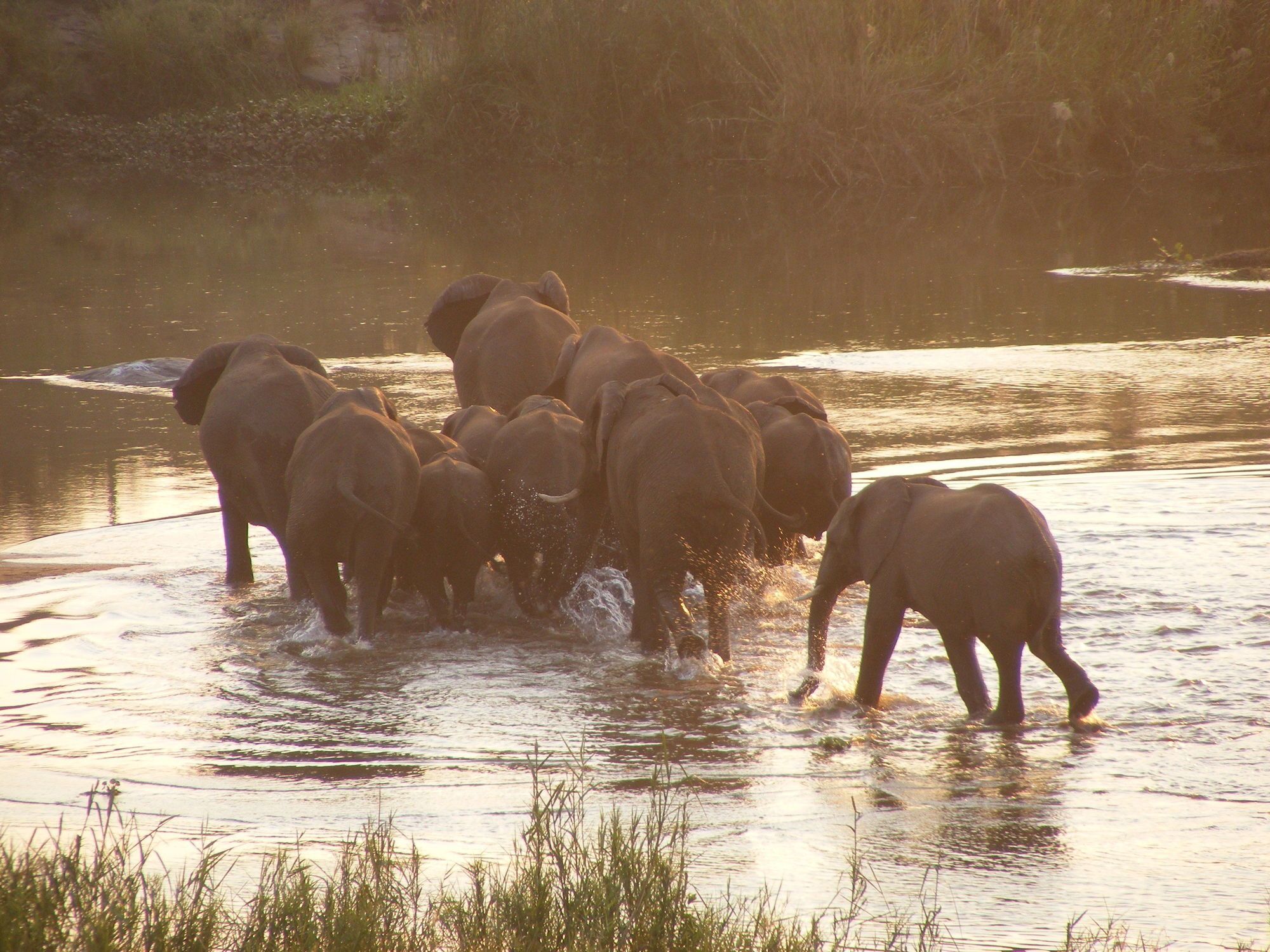Elephant Walk Retreat コマティプルト エクステリア 写真