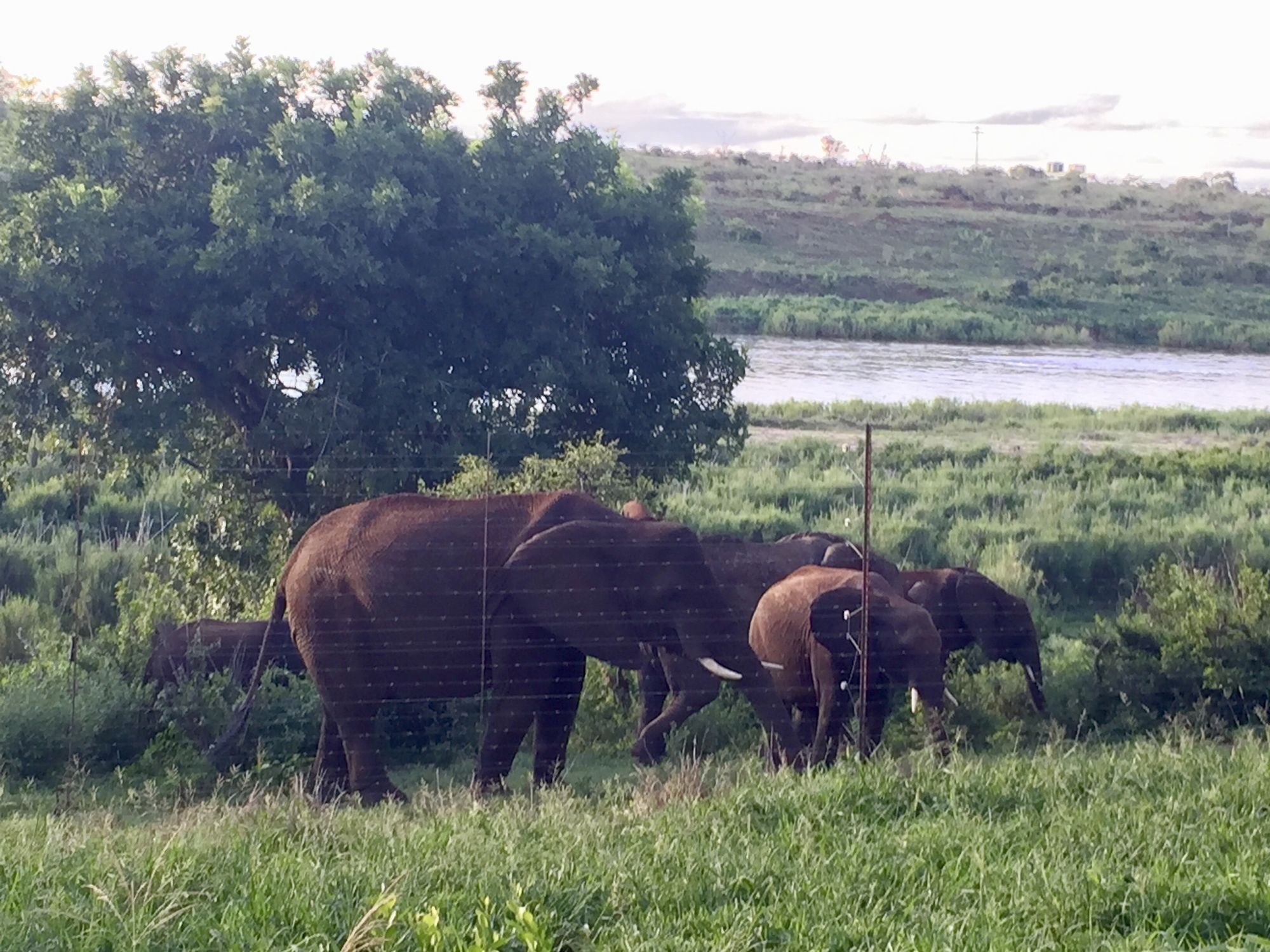 Elephant Walk Retreat コマティプルト エクステリア 写真